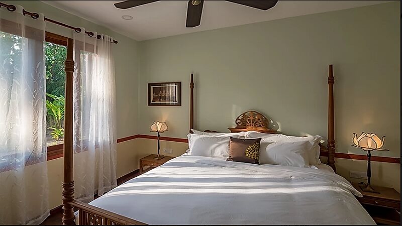 Garden View Suite