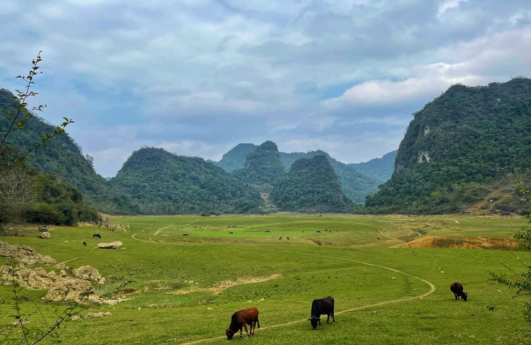 How beautiful Cao Bang in spring!