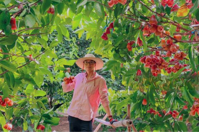 Tourists explore the fruit gardens of local people.