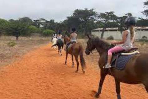 Tourists ride horses to explore Bagan.