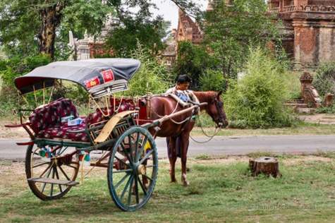 Arrive at Minnanthu village, where the kind locals live in their traditional country houses