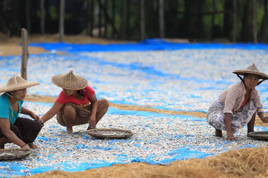 Enjoy the freedom of choosing your own meals, allowing you to savor the local cuisine in Thandwe