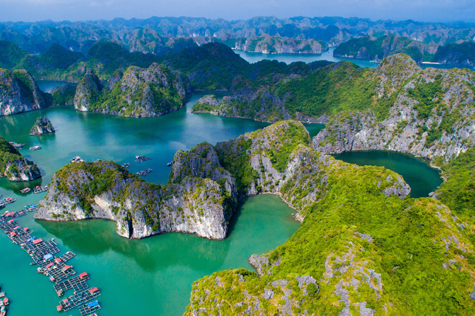 board the Tender Boat, your gateway to the Verdure Lotus Cruise